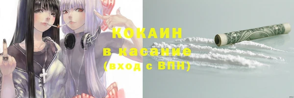 гашик Алексин