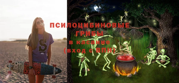 первитин Краснослободск