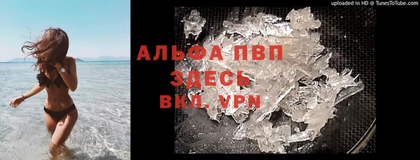 гашик Алексин