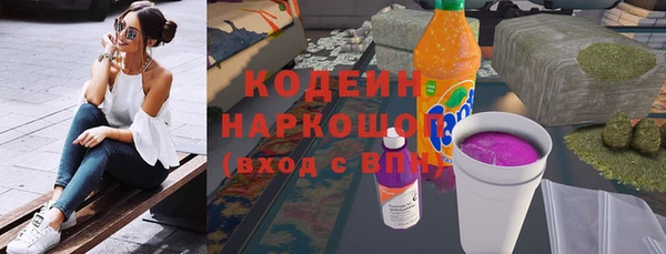 гашик Алексин